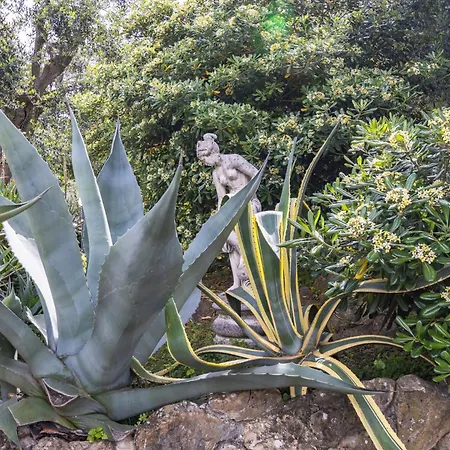 Appartement Regina On The Hill *