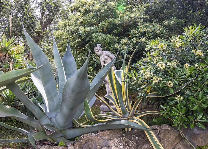 Apartamento Regina On The Hill *